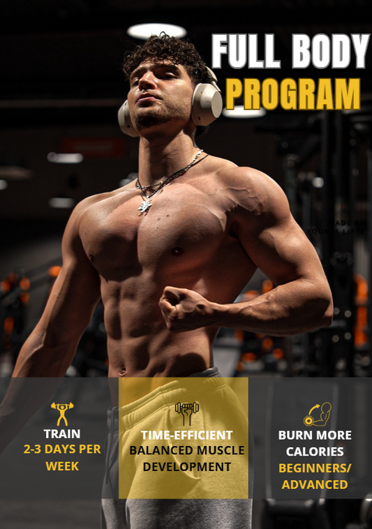 THE FULL BODY PROGRAM