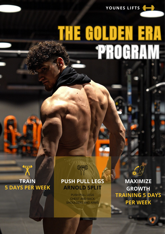 THE GOLDEN ERA PROGRAM